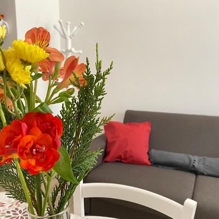 모노폴리 Donna Filomena 아파트 외부 사진
